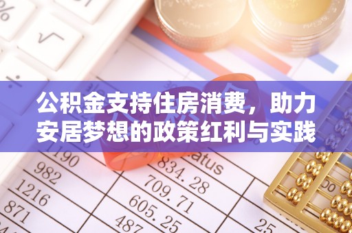 宁南公积金支持住房消费，助力安居梦想的政策红利与实践