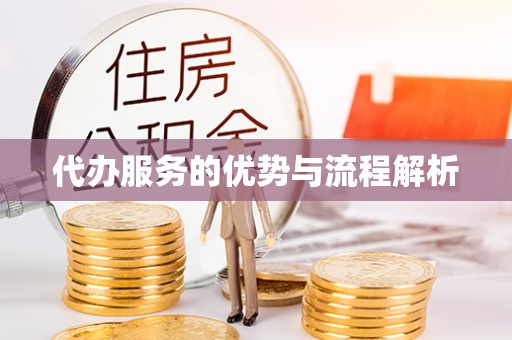 宁南代办服务的优势与流程解析