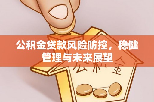 宁南公积金贷款风险防控，稳健管理与未来展望