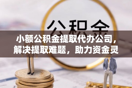宁南小额公积金提取代办公司，解决提取难题，助力资金灵活使用
