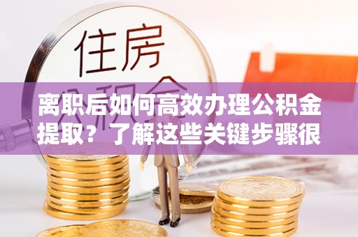 宁南离职后如何高效办理公积金提取？了解这些关键步骤很重要！