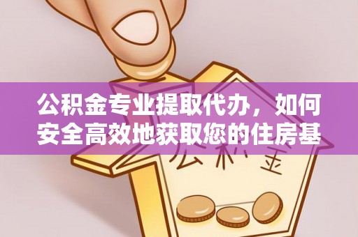 宁南公积金专业提取代办，如何安全高效地获取您的住房基金