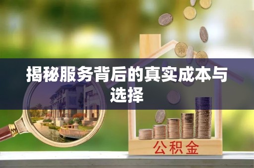 宁南揭秘服务背后的真实成本与选择