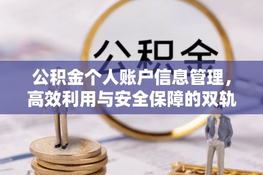 宁南公积金个人账户信息管理，高效利用与安全保障的双轨并行