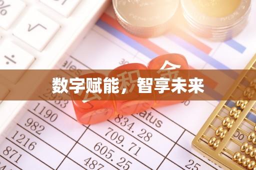 宁南数字赋能，智享未来