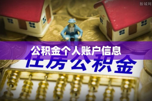 宁南公积金个人账户信息
