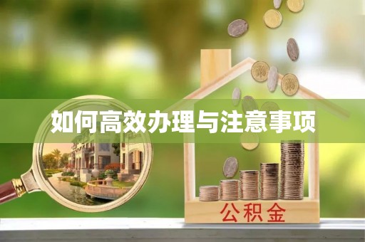 宁南如何高效办理与注意事项