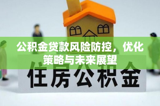 宁南公积金贷款风险防控，优化策略与未来展望