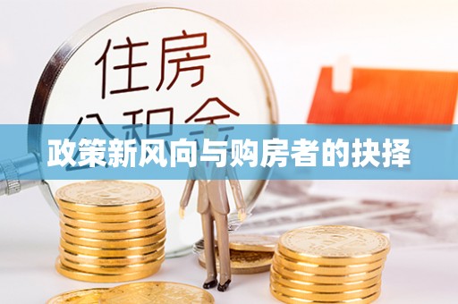 宁南政策新风向与购房者的抉择