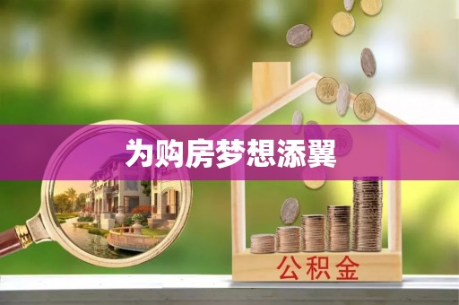 宁南为购房梦想添翼