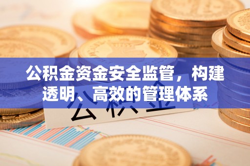 宁南公积金资金安全监管，构建透明、高效的管理体系