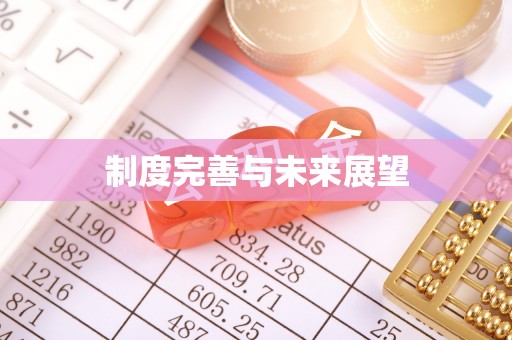 宁南制度完善与未来展望