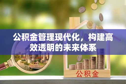 宁南公积金管理现代化，构建高效透明的未来体系
