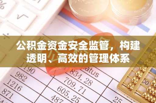 宁南公积金资金安全监管，构建透明、高效的管理体系