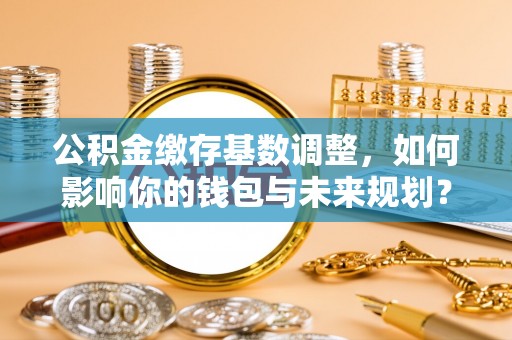 宁南公积金缴存基数调整，如何影响你的钱包与未来规划？