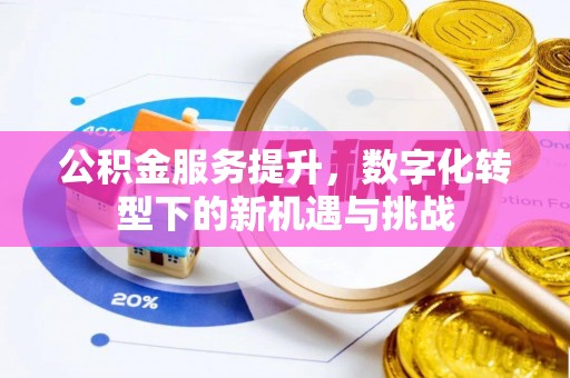 宁南公积金服务提升，数字化转型下的新机遇与挑战
