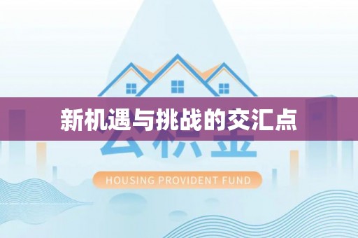 宁南新机遇与挑战的交汇点