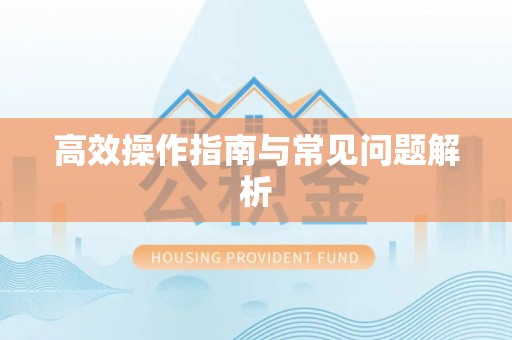 宁南高效操作指南与常见问题解析