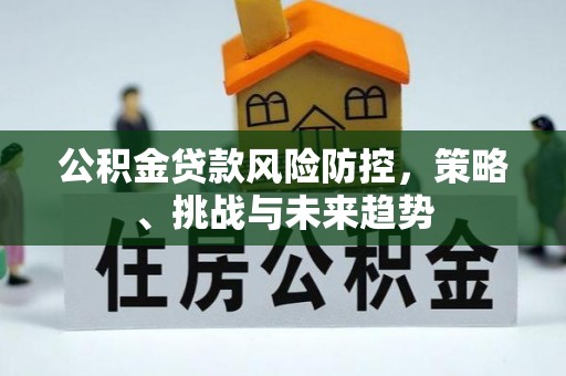 宁南公积金贷款风险防控，策略、挑战与未来趋势