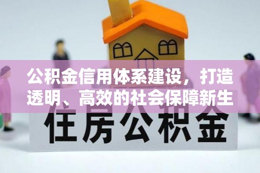 宁南公积金信用体系建设，打造透明、高效的社会保障新生态