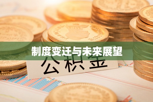 宁南制度变迁与未来展望