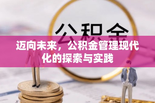 宁南迈向未来，公积金管理现代化的探索与实践