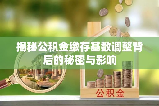 宁南揭秘公积金缴存基数调整背后的秘密与影响