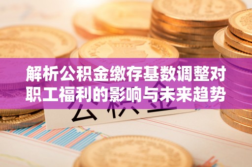宁南解析公积金缴存基数调整对职工福利的影响与未来趋势