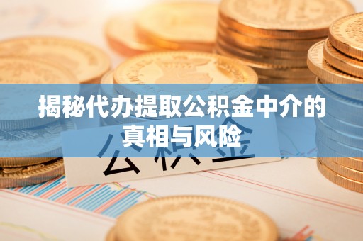 宁南揭秘代办提取公积金中介的真相与风险