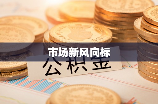 宁南市场新风向标