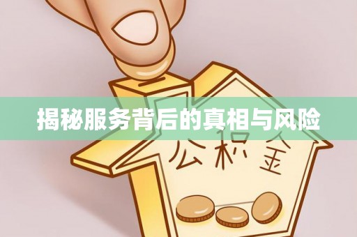 宁南揭秘服务背后的真相与风险