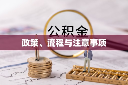 宁南政策、流程与注意事项
