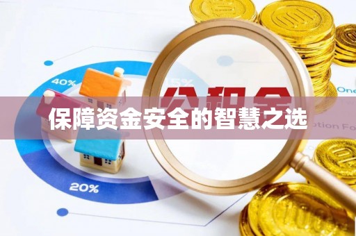 宁南保障资金安全的智慧之选