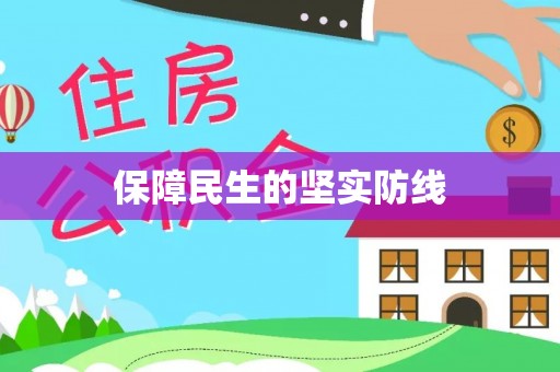 宁南保障民生的坚实防线