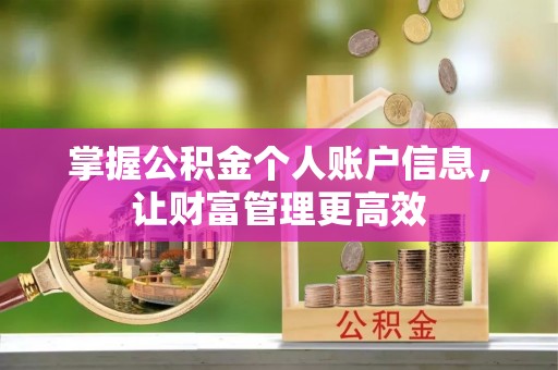 宁南掌握公积金个人账户信息，让财富管理更高效