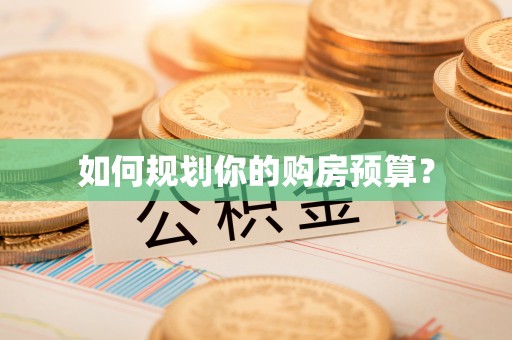 宁南如何规划你的购房预算？
