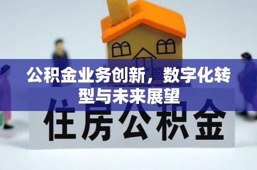 宁南公积金业务创新，数字化转型与未来展望