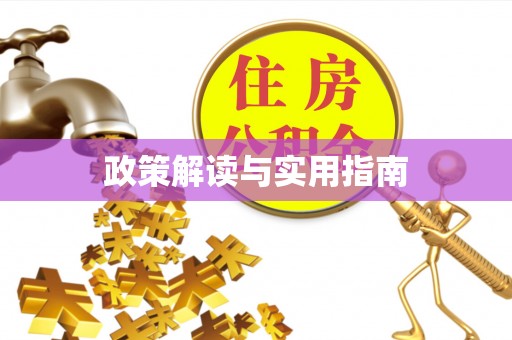 宁南政策解读与实用指南