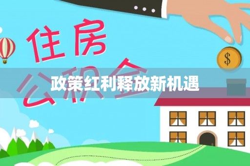 宁南政策红利释放新机遇