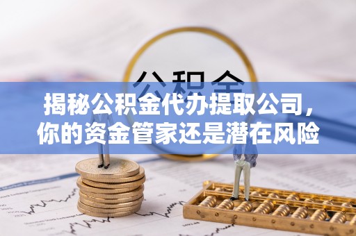 宁南揭秘公积金代办提取公司，你的资金管家还是潜在风险？