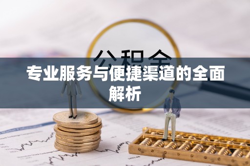 宁南专业服务与便捷渠道的全面解析