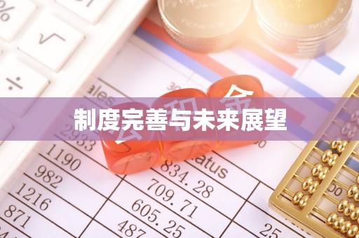 宁南制度完善与未来展望