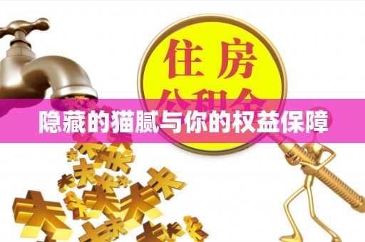 宁南隐藏的猫腻与你的权益保障
