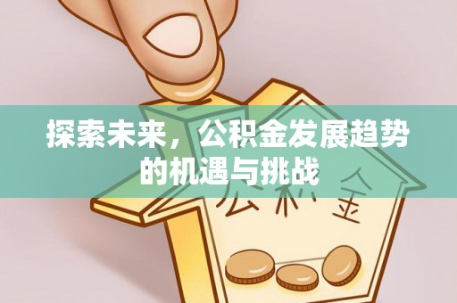 宁南探索未来，公积金发展趋势的机遇与挑战