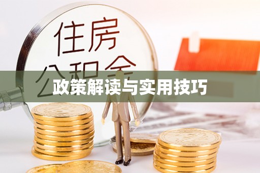 宁南政策解读与实用技巧