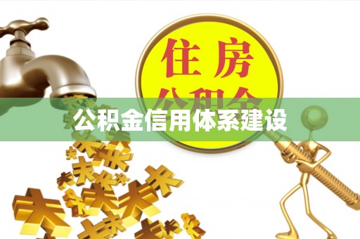 宁南公积金信用体系建设