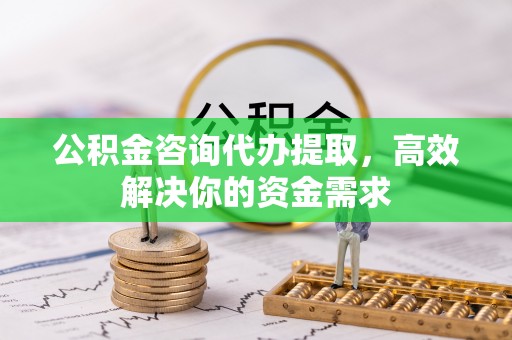 宁南公积金咨询代办提取，高效解决你的资金需求