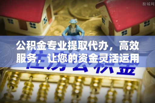 宁南公积金专业提取代办，高效服务，让您的资金灵活运用