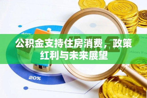 宁南公积金支持住房消费，政策红利与未来展望
