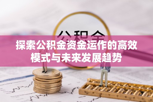 宁南探索公积金资金运作的高效模式与未来发展趋势